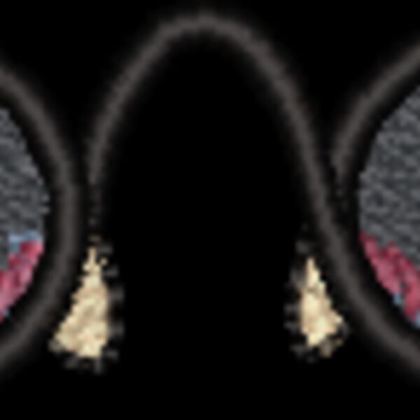 NZ254 Thumbnail