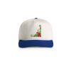Class Two-Tone Cap Thumbnail